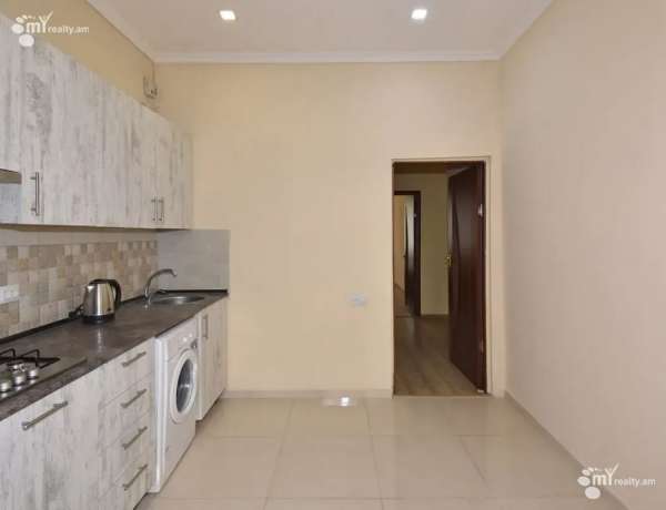 3-senyakanoc-bnakaran-vardzakalutyun-Yerevan-Center
