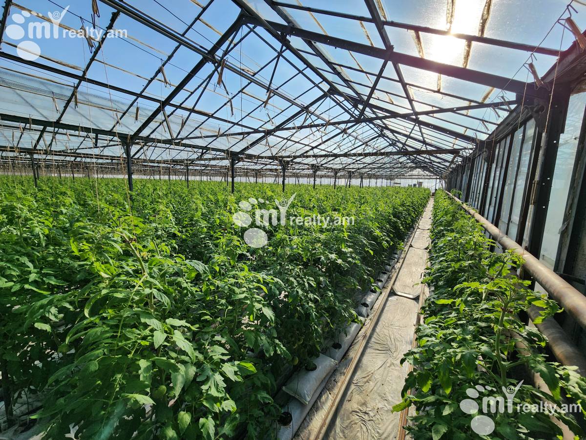 Land for sale Aramus, Aramus Kotayk, 158581