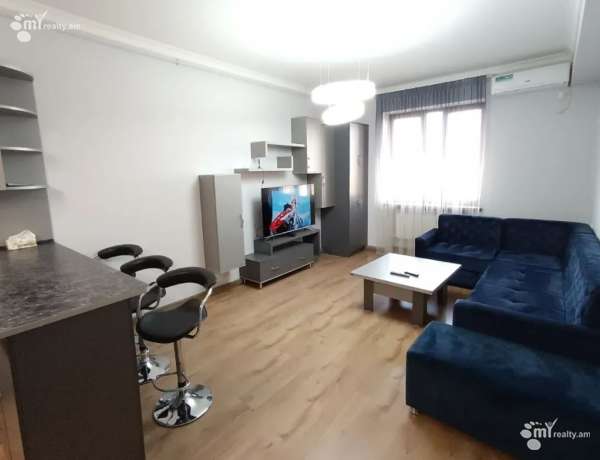4-senyakanoc-bnakaran-vardzakalutyun-Yerevan-Center