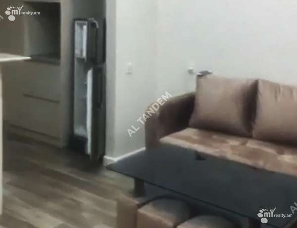 2-senyakanoc-bnakaran-vardzakalutyun-Yerevan-Center