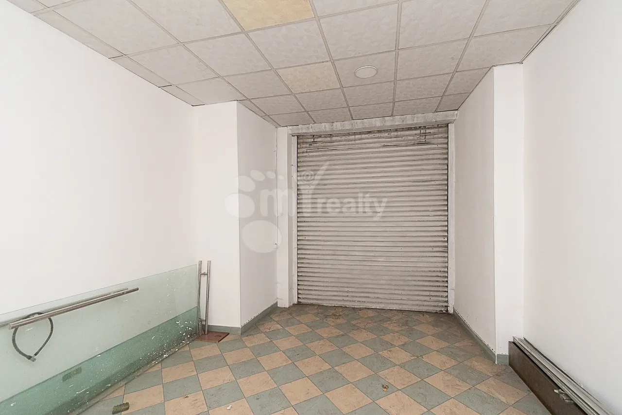 Commercial property for sale M.Khorenatsi St, Center Yerevan, 160418