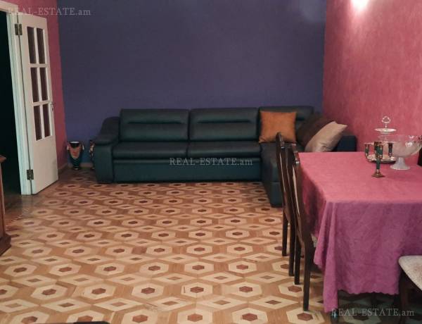 2-senyakanoc-bnakaran-vardzakalutyun-Yerevan-Arabkir