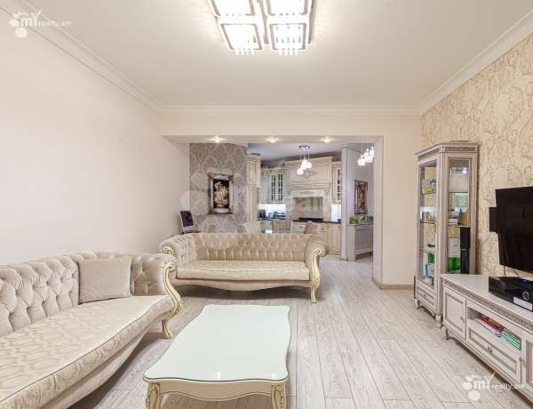 3-senyakanoc-bnakaran-vardzakalutyun-Yerevan-Center