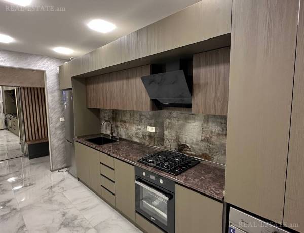 3-senyakanoc-bnakaran-vacharq-Yerevan-Arabkir