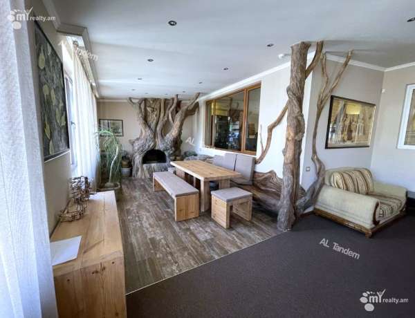 5-senyakanoc-bnakaran-vardzakalutyun-Yerevan-Center