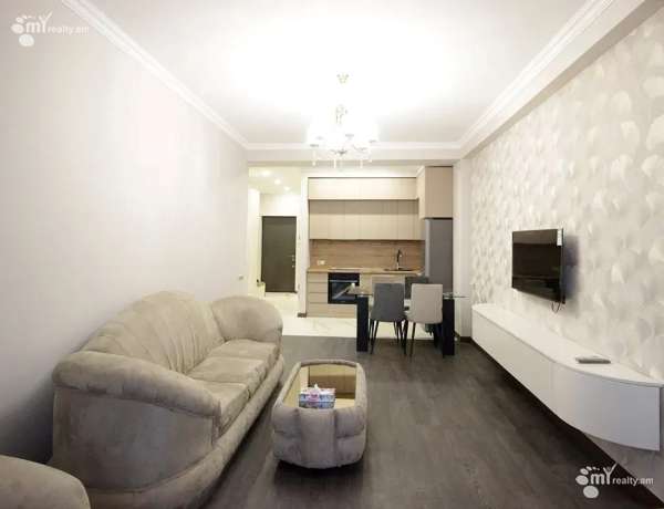 2-senyakanoc-bnakaran-vardzakalutyun-Yerevan-Arabkir