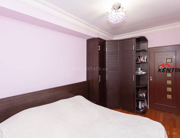 3-senyakanoc-bnakaran-vardzakalutyun-Yerevan-Arabkir