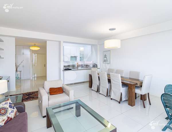 3-senyakanoc-bnakaran-vardzakalutyun-Yerevan-Arabkir