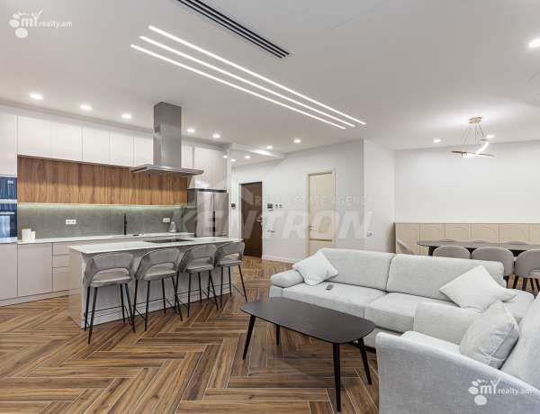 3-senyakanoc-bnakaran-vardzakalutyun-Yerevan-Center