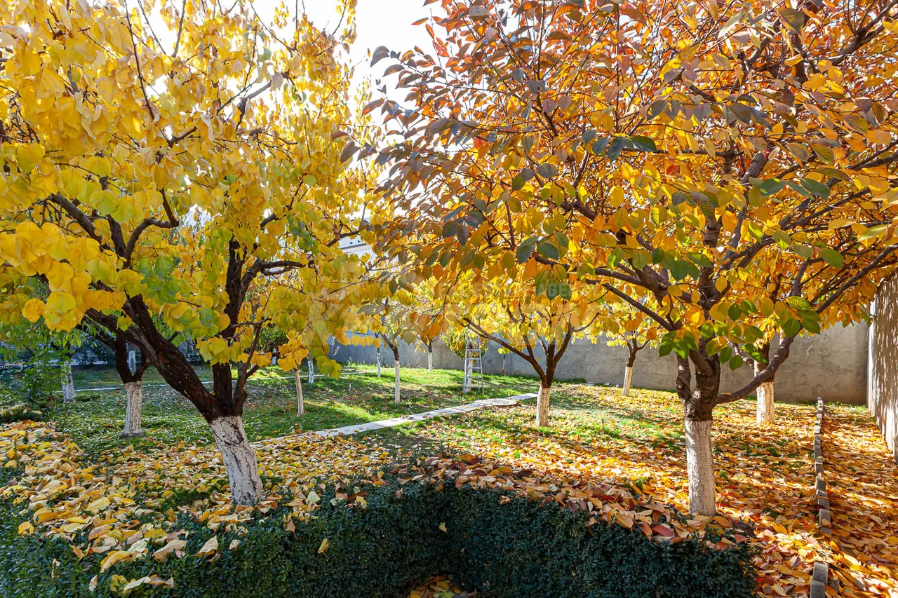 House for sale Teryan st, Avan Yerevan, 157307