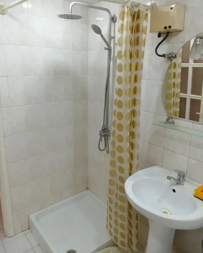 1 bedroom apartment for rent Tumanyan St, Center Yerevan, 161568