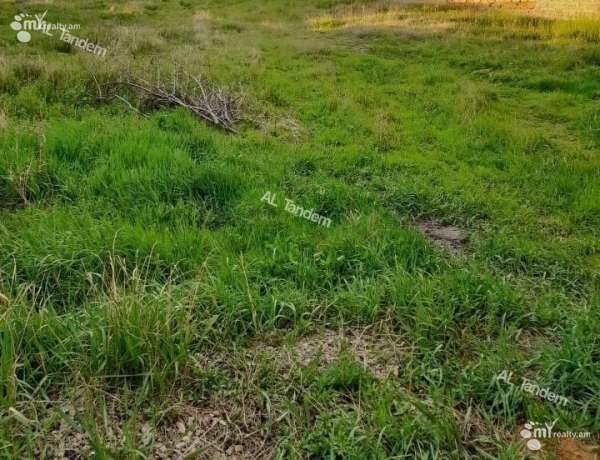 prodaja-zemelnogo-uchastka/+Ptghni/Ptghni/Kotayk