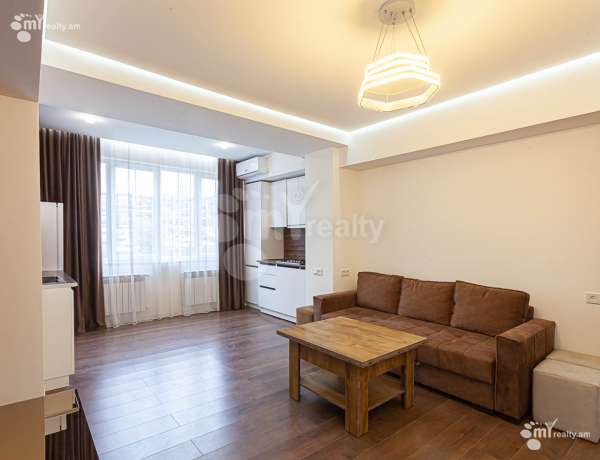 2-senyakanoc-bnakaran-vardzakalutyun-Yerevan-Center