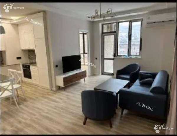 2-senyakanoc-bnakaran-vardzakalutyun-Yerevan-Center