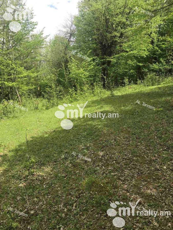 Купить замельный участок Дилижан, Дилиджан Тавуш, 122439