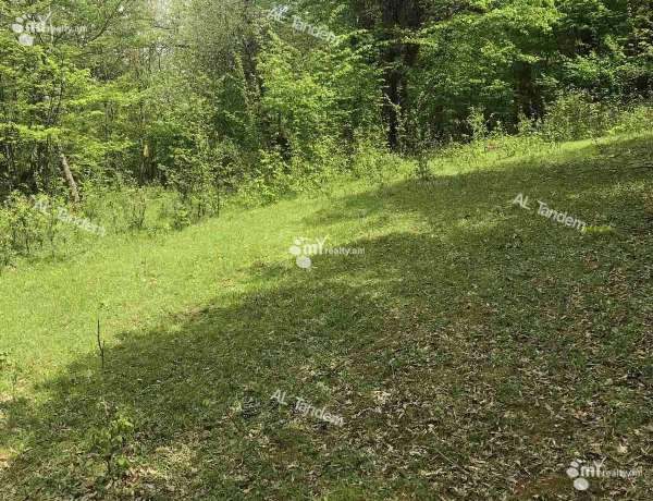 hoghataracq-vacharq-Tavush-Dilijan