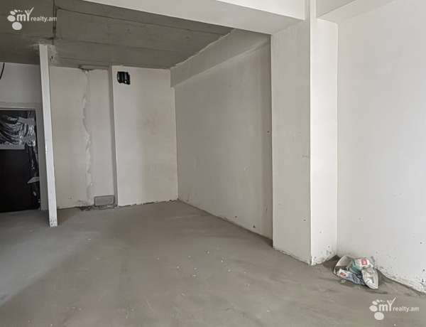 2-senyakanoc-bnakaran-vacharq-Yerevan-Ajapnyak