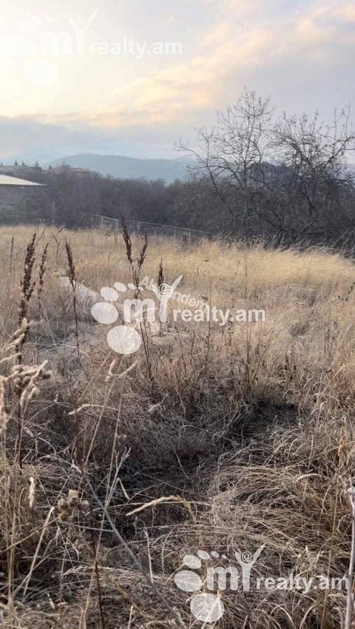 Land for sale Tsaghkadzor, تساقکزور کوتایک, 128542