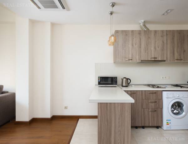 2-senyakanoc-bnakaran-vacharq-Yerevan-Center