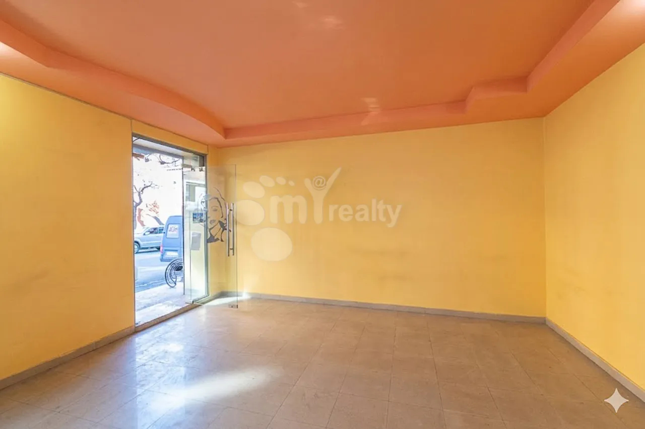 Commercial property for sale Orbeli Yeghbayrner   St, Arabkir Yerevan, 160089