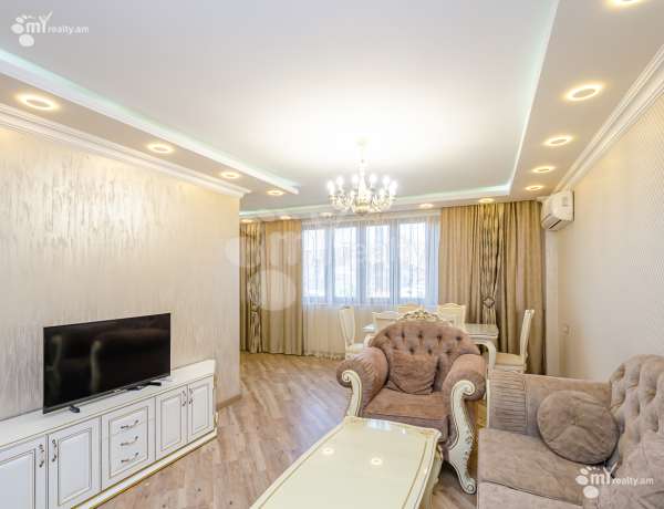 3-senyakanoc-bnakaran-vardzakalutyun-Yerevan-Center