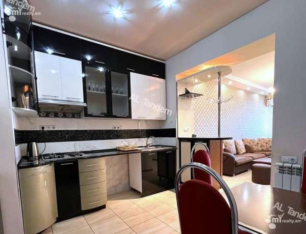 3-senyakanoc-bnakaran-vardzakalutyun-Yerevan-Center