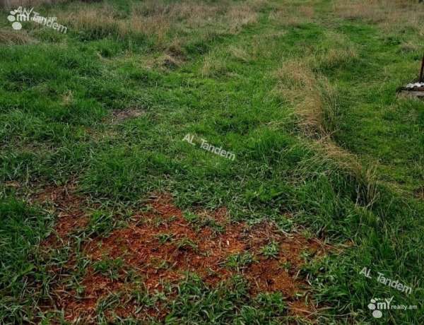 hoghataracq-vacharq-Kotayk-Ptghni