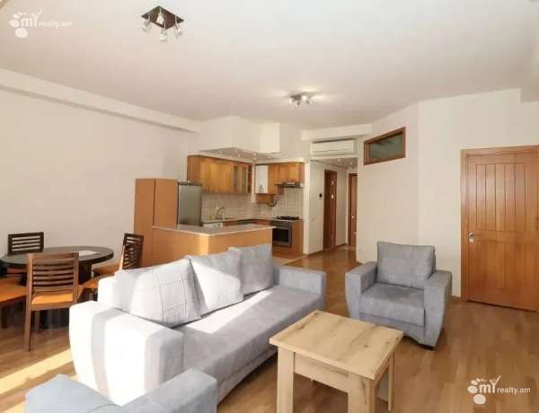 2-senyakanoc-bnakaran-vardzakalutyun-Yerevan-Center