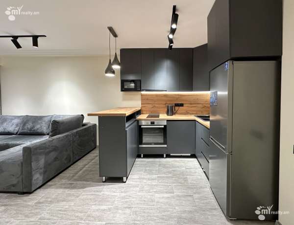 2-senyakanoc-bnakaran-vardzakalutyun-Yerevan-Center