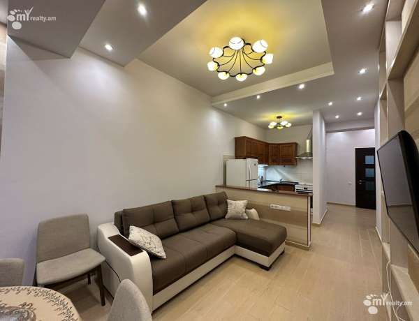 3-senyakanoc-bnakaran-vardzakalutyun-Yerevan-Arabkir