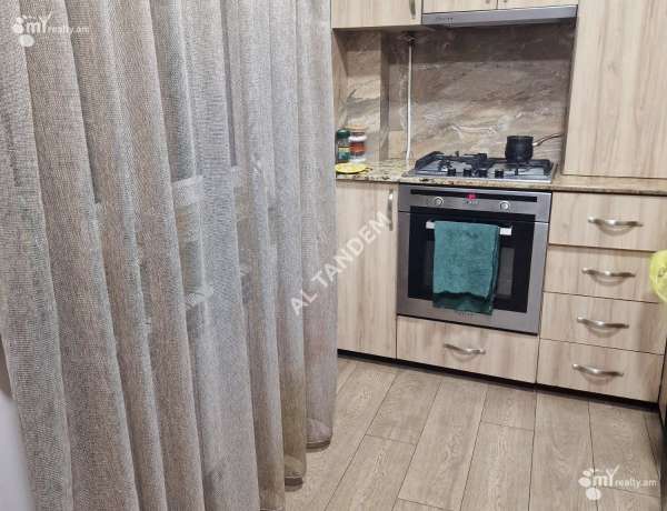 3-senyakanoc-bnakaran-vardzakalutyun-Yerevan-Center