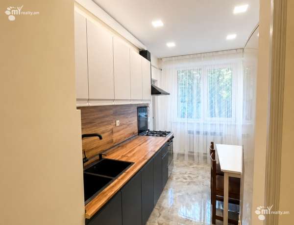 3-senyakanoc-bnakaran-vardzakalutyun-Yerevan-Arabkir