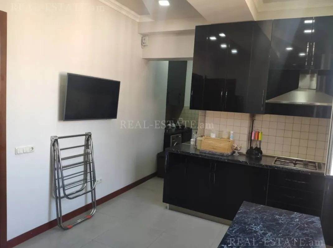4 bedroom apartment for rent خیابان پوشکین, مرکز شهر ایروان, 160266