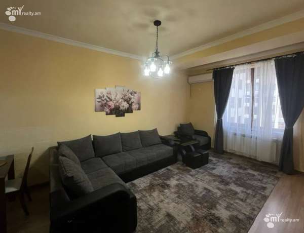 2-senyakanoc-bnakaran-vardzakalutyun-Yerevan-Center