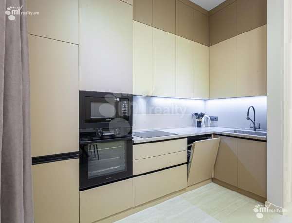 3-senyakanoc-bnakaran-vardzakalutyun-Yerevan-Center