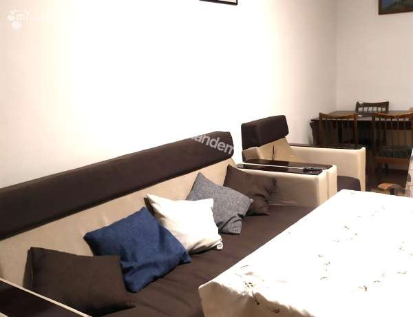 3-senyakanoc-bnakaran-vardzakalutyun-Yerevan-Center