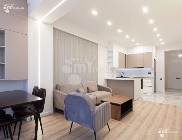 3-senyakanoc-bnakaran-vardzakalutyun-Yerevan-Center