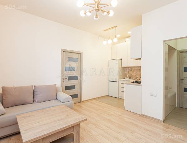 2-senyakanoc-bnakaran-vardzakalutyun-Yerevan-Center