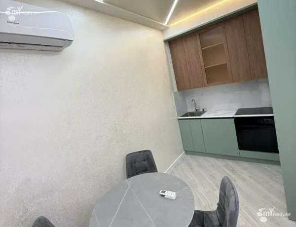 2-senyakanoc-bnakaran-vardzakalutyun-Yerevan-Center