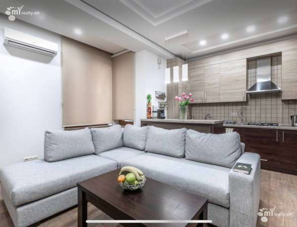 2-senyakanoc-bnakaran-vardzakalutyun-Yerevan-Center