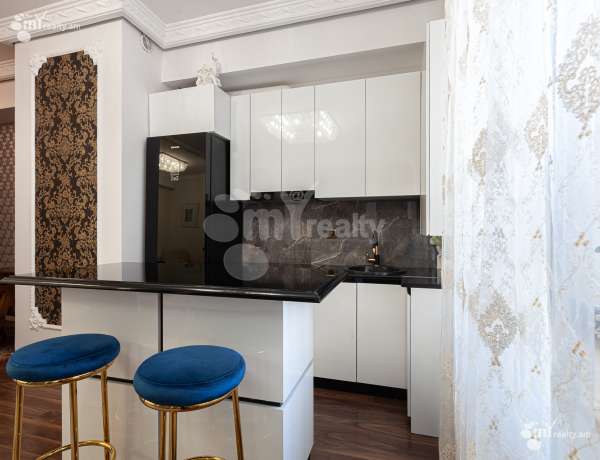 3-senyakanoc-bnakaran-vardzakalutyun-Yerevan-Center