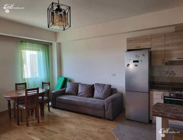 2-senyakanoc-bnakaran-vardzakalutyun-Yerevan-Center