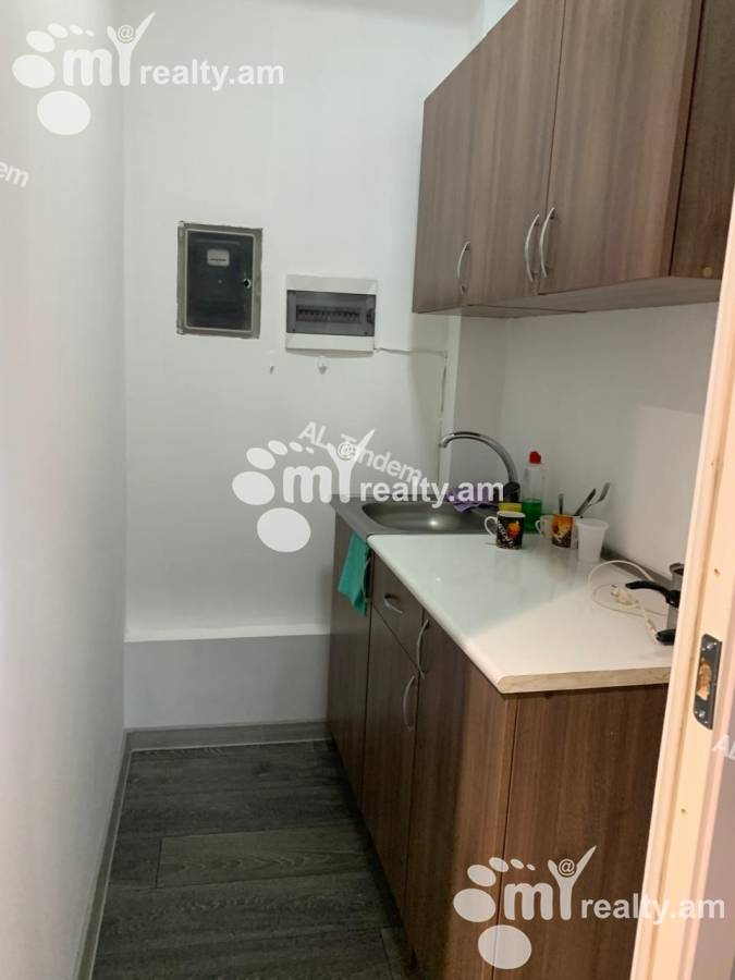 Commercial for rent خیابان تومانیان, مرکز شهر ایروان, 151708