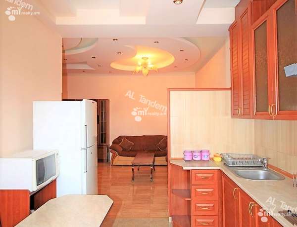 3-senyakanoc-bnakaran-vardzakalutyun-Yerevan-Center