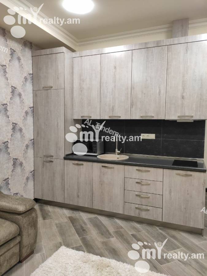 2 bedroom apartment for rent rue d'Amiryan, Center Yerevan, 157073