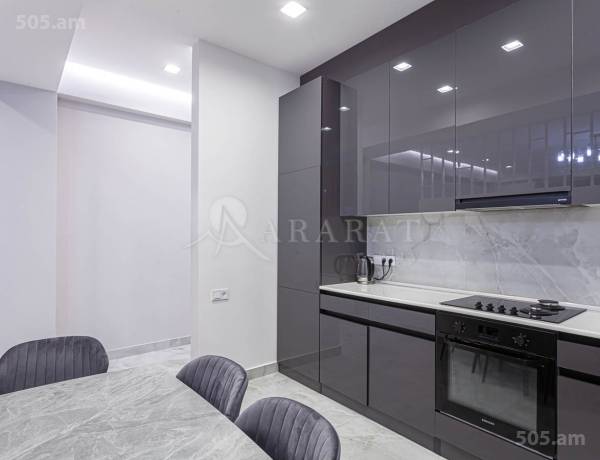 3-senyakanoc-bnakaran-vardzakalutyun-Yerevan-Arabkir