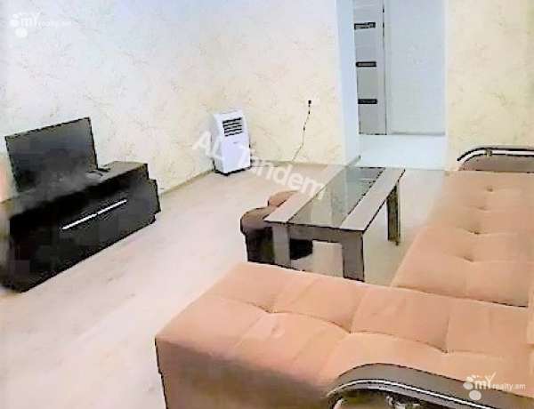 2-senyakanoc-bnakaran-vardzakalutyun-Yerevan-Arabkir