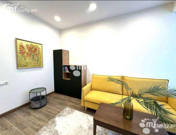 2-senyakanoc-bnakaran-vardzakalutyun-Yerevan-Center