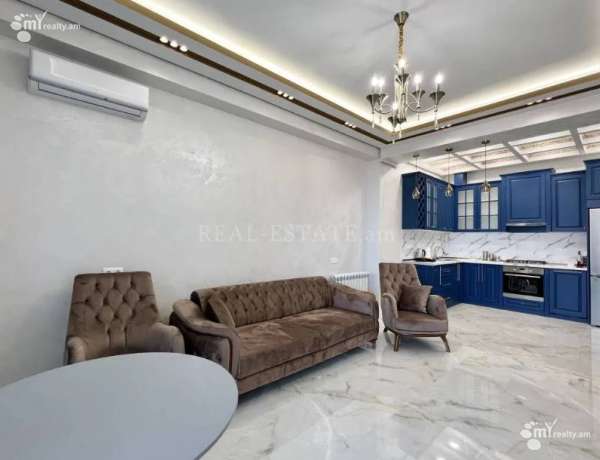 2-senyakanoc-bnakaran-vardzakalutyun-Yerevan-Center