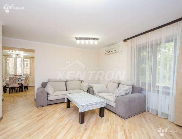 3-senyakanoc-bnakaran-vardzakalutyun-Yerevan-Center